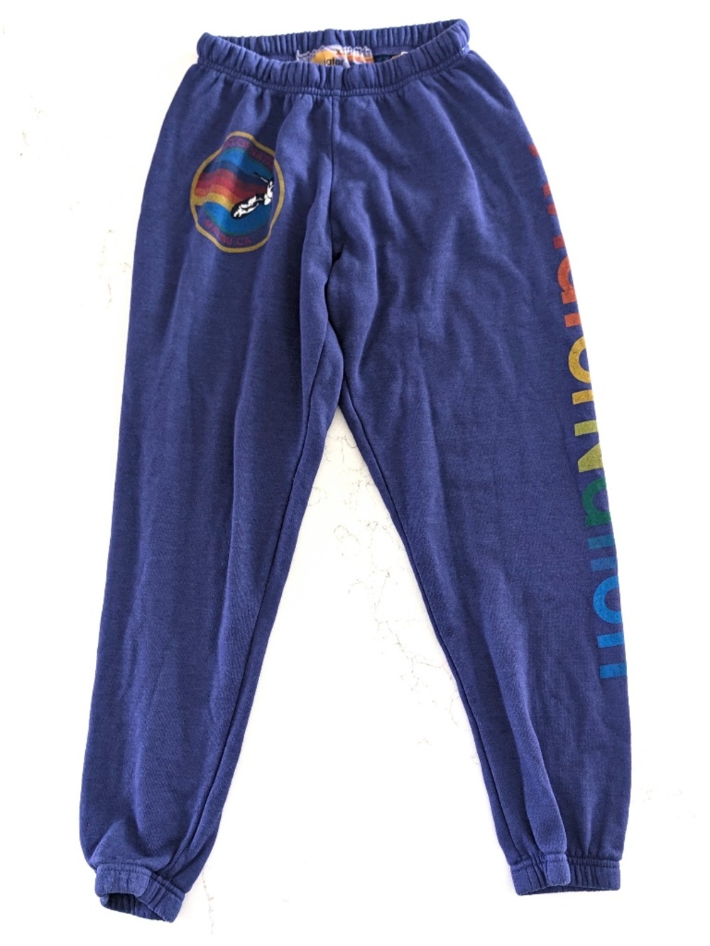 Aviator Nation Malibu Sweatpants XS Purple Rainbow Surf Logo Joggers Fleece USA